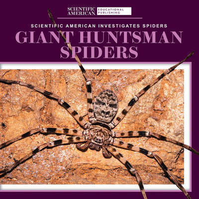 Coperta cărții 'Giant Huntsman Spiders - Roxanne Aldolpho'
