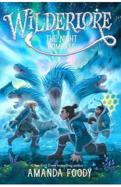 The Night Compass - Amanda Foody