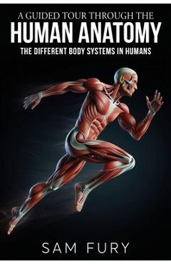 A Guided Tour Through the Human Anatomy: The Different Body Systems In Humans - Sam Fury