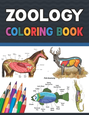 Zoology Coloring Book: Incredibly Detailed Self-Test Zoology Coloring Book for Veterinary Anatomy Students Zoology Self test Guide for Anatom - Darjeylone Publication