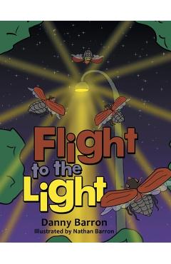 Coperta cărții 'Flight to the Light - Danny Barron'