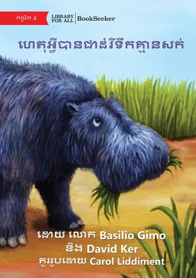 Why Hippos Have No Hair - ហេតុអ្វីបានជាដំរីɛ - Basilio Gimo