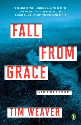 Fall from Grace: A David Raker Mystery - Tim Weaver