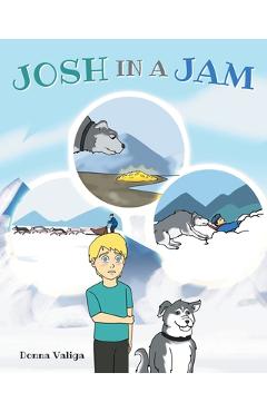 Poza produsului Josh in a Jam - Donna Valiga