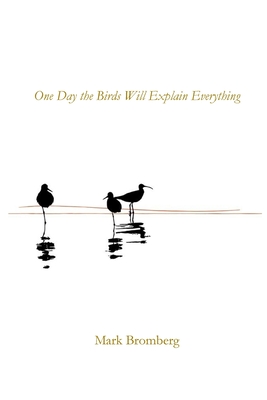 Coperta cărții 'One Day the Birds Will Explain Everything - Mark Bromberg'