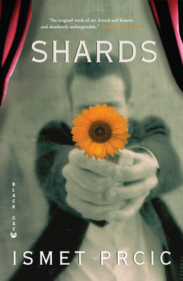 Shards - Ismet Prcic