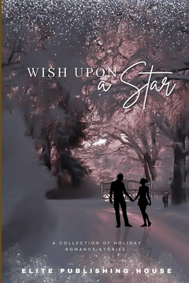 Wish Upon a Star: A Collection of Holiday Romance Stories - Blair Hayse
