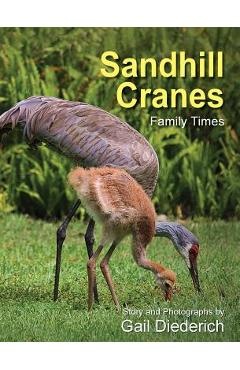 Poza produsului Sandhill Cranes, Family Times - Gail Diederich