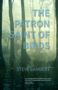 Coperta cărții 'The Patron Saint of Birds (+2) - Steve Lambert'