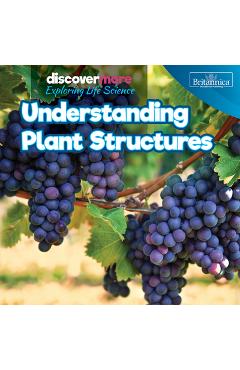 Coperta cărții 'Understanding Plant Structures - Ernest Brazzos'