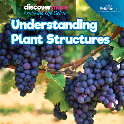 Coperta cărții 'Understanding Plant Structures - Ernest Brazzos'