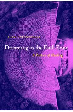 Dreaming in the Fault Zone: A Poetics of Healing - Eleni Stecopoulos