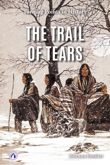 Coperta cărții 'The Trail of Tears - Brienna Rossiter'