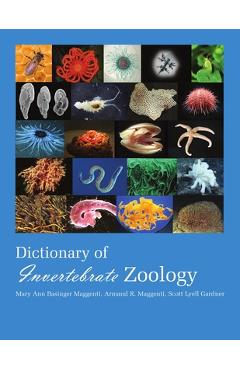 Coperta cărții 'Dictionary of Invertebrate Zoology --Paperback - Maggenti Mary Ann'