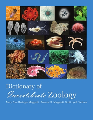 Coperta cărții 'Dictionary of Invertebrate Zoology --Paperback - Maggenti Mary Ann'