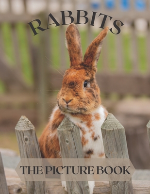 Rabbits: The Picture Book of Cute Rabbits Perfect Gift for Patients, Seniors & Dementia - Linda Publisher
