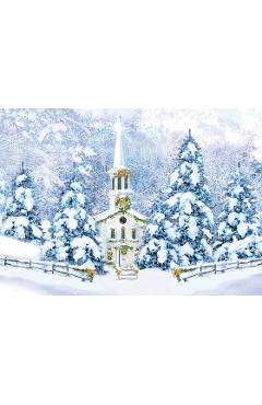 Poza produsului Winter Sanctuary Deluxe Boxed Holiday Cards (20 Cards, 21 Self-Sealing Envelopes) - 