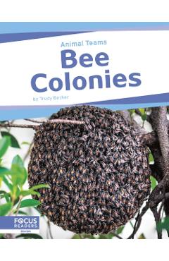 Coperta cărții 'Bee Colonies - Trudy Becker'