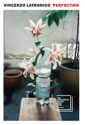 Perfection - Vincenzo Latronico