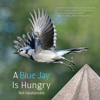 A Blue Jay is Hungry - Nick Vakalopoulos
