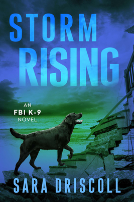 Coperta cărții 'Storm Rising - Sara Driscoll'
