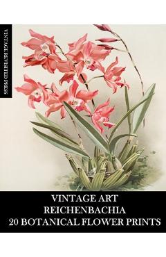 Coperta cărții 'Vintage Art: Reichenbachia 20 Botanical Flower Prints: Flora Ephemera for Framing, Home Decor and Collage - Vintage'