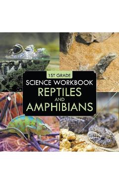 Coperta cărții '1st Grade Science Workbook: Reptiles and Amphibians -'
