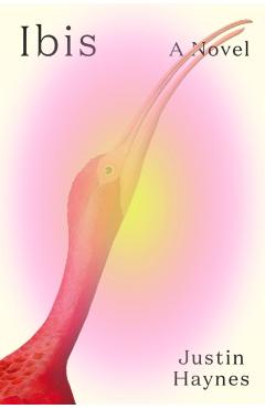 Ibis - Justin Haynes