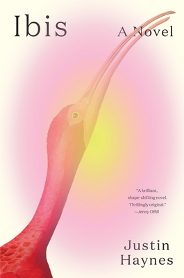 Ibis - Justin Haynes