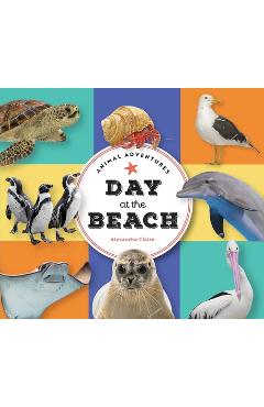 Poza produsului Animal Adventures: Day at the Beach - Alexandra Claire