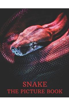 Coperta cărții 'Snake: The Picture Book of Amazing Snake for Snake Lovers, Seniors, Dementia, and Alzheimer's. - Lisa Publisher'