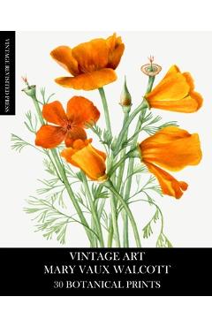 Coperta cărții 'Vintage Art: Mary Vaux Walcott 30 Botanical Prints - Vintage Revisited Press'