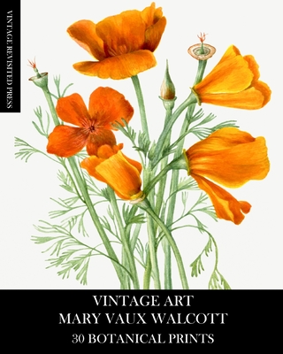 Coperta cărții 'Vintage Art: Mary Vaux Walcott 30 Botanical Prints - Vintage Revisited Press'