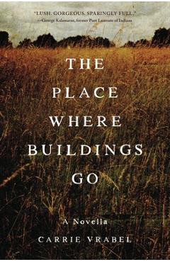 Coperta cărții 'The Place Where Buildings Go - Carrie Vrabel'