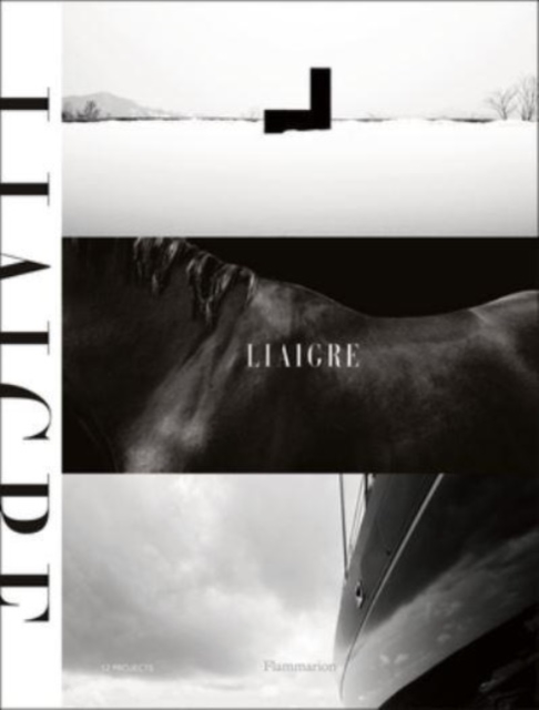 Liaigre: 12 Projects - Christian Liaigre