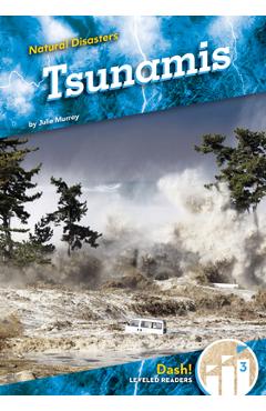 Coperta cărții 'Tsunamis - Julie Murray'