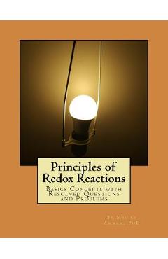 Poza produsului Principles of Redox Reactions: Basics Concepts with Resolved Questions and Problems - Malika Ammam