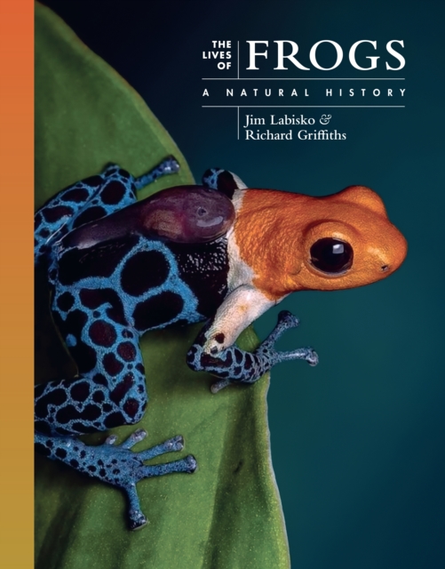 The Lives of Frogs: A Natural History - Jim Labisko