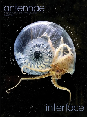 Antennae #48 Interface - Giovanni Aloi