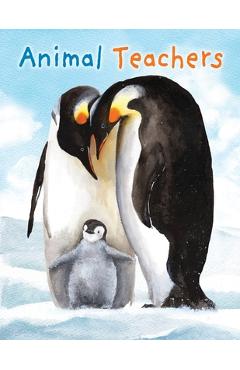 Coperta cărții 'Animal Teachers - Katy Hudson'