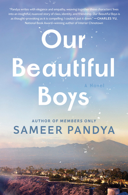 Our Beautiful Boys - Sameer Pandya