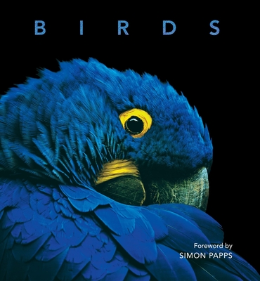 Birds - Simon Papps