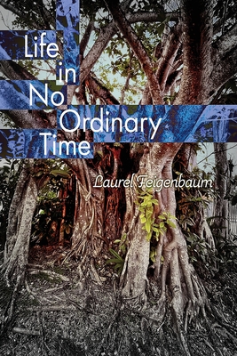 Life in No Ordinary Time - Laurel Feigenbaum