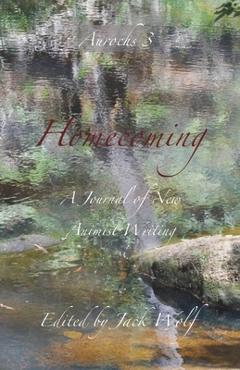 Coperta cărții 'Homecoming 3: Time - Jack Wolf'