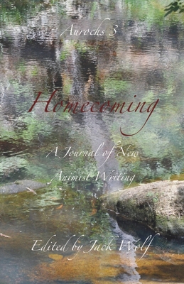 Coperta cărții 'Homecoming 3: Time - Jack Wolf'