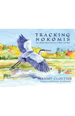 Coperta cărții 'Tracking Nokomis - Tammy Cloutier'
