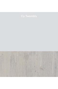 Coperta cărții 'Cy Twombly - Cy Twombly'