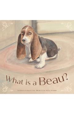 Coperta cărții 'What is a Beau? - Deborah Louanne Grey'