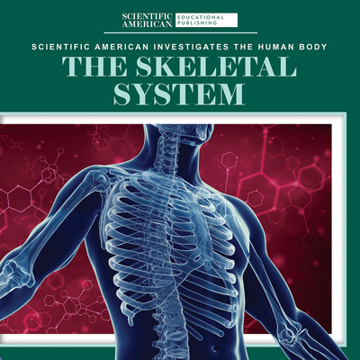 Coperta cărții 'The Skeletal System - Leigh Mcclure'