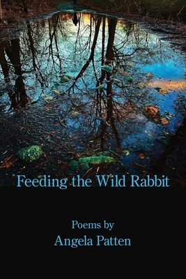 Feeding the Wild Rabbit - Angela Patten